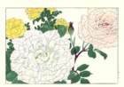 46 photo46_small.jpg